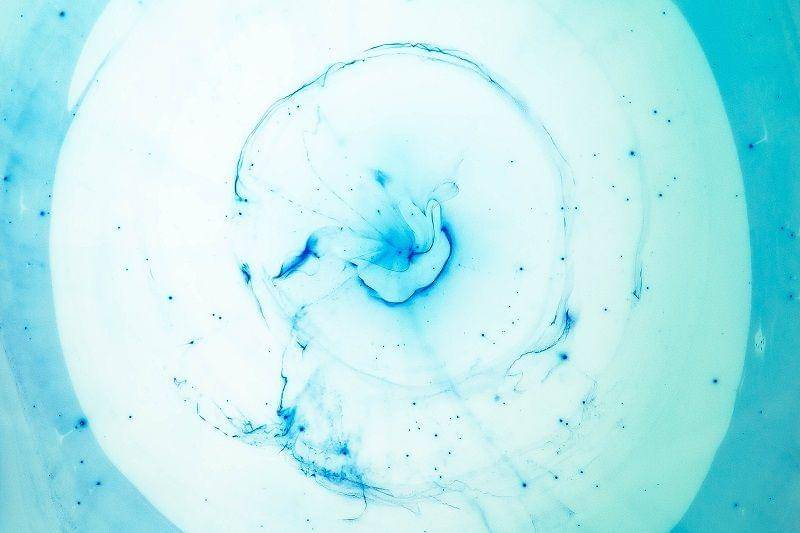 Unsplash/joel filipe