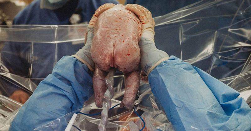 thisisinsider.com/Sarah Hill