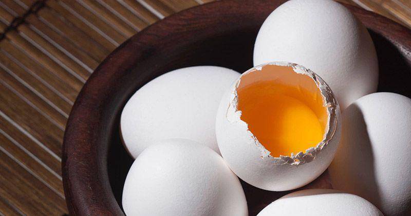 Salah satu sumber protein adalah telur - Unsplash/Cory Seward
