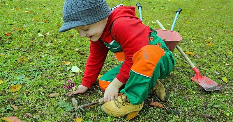 Pixabay/PublicDomainPictures