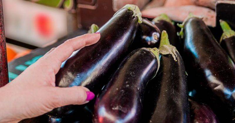 Freepik/Dragana_Gordic