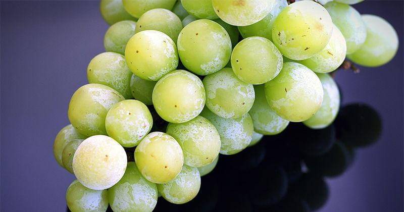 Pixabay/ponce_photography