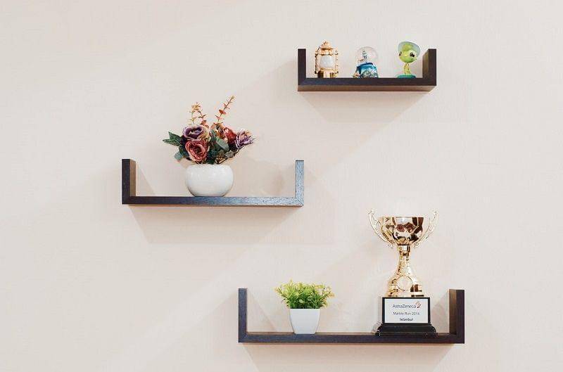 Unsplash/plant prize shelves