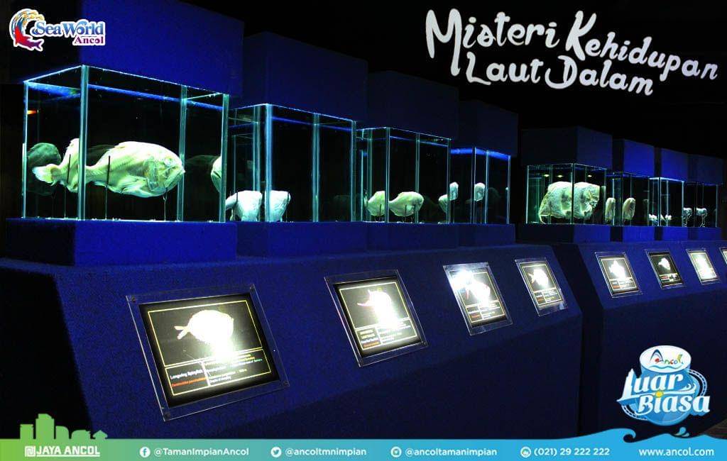 Lokasi: Taman Impian Jaya Ancol - ancol.com