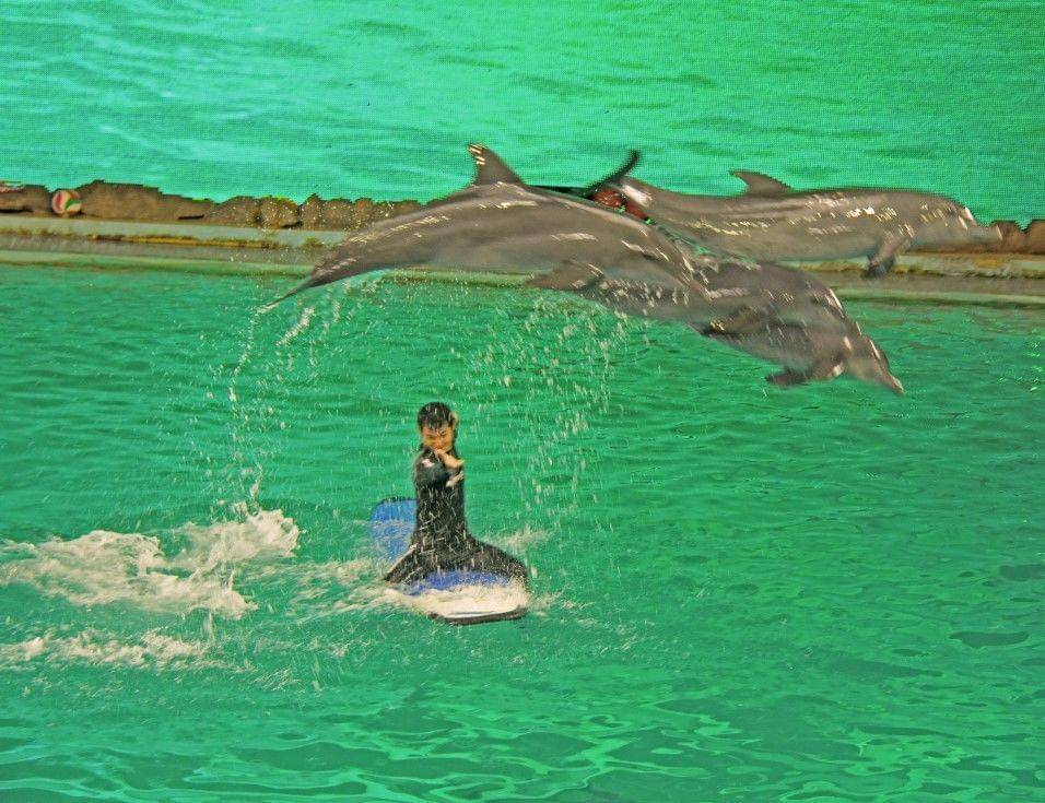 Lokasi: Taman Impian Jaya Ancol - ancol.com