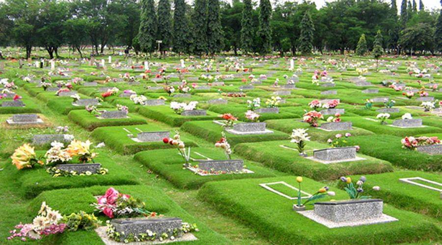 Ilustrasi - pertamananpemakaman.jakarta.go.id