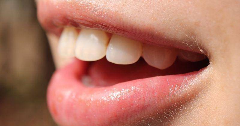 Pixabay/AlbanyColley