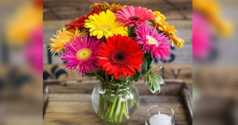 cambridgeflorist.com