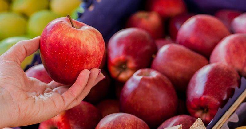 Freepik/Dragana_Gordic