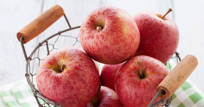 Freepik/valeria_aksakova