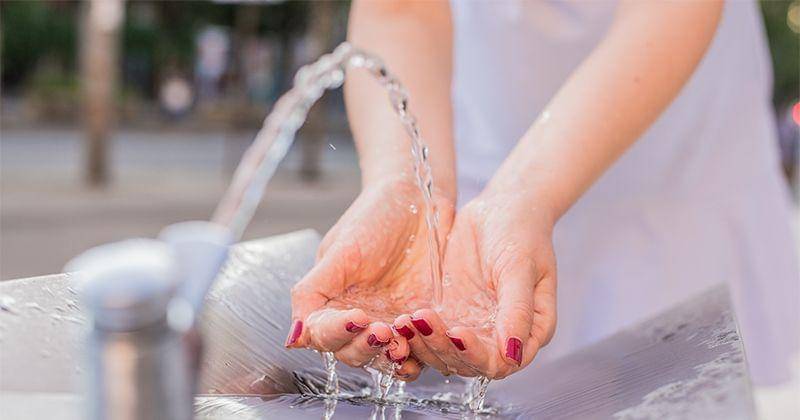 Freepik/Dragana_Gordic