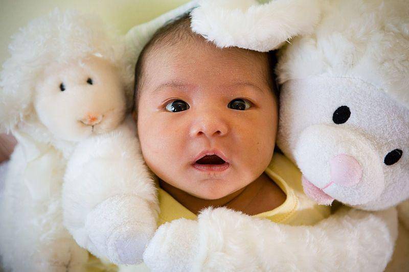 commons.wikimedia.org/Kenny Louie