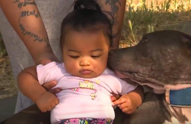 Youtube.com/KRCA News