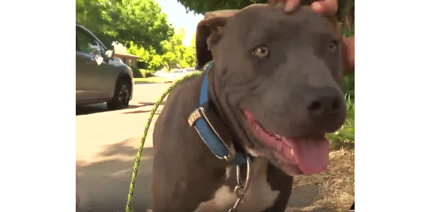 Youtube.com/KRCA News