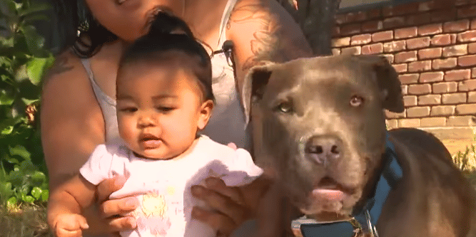 Youtube.com/KRCA News