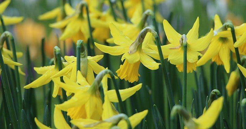 Unsplash/Katherine McCormack