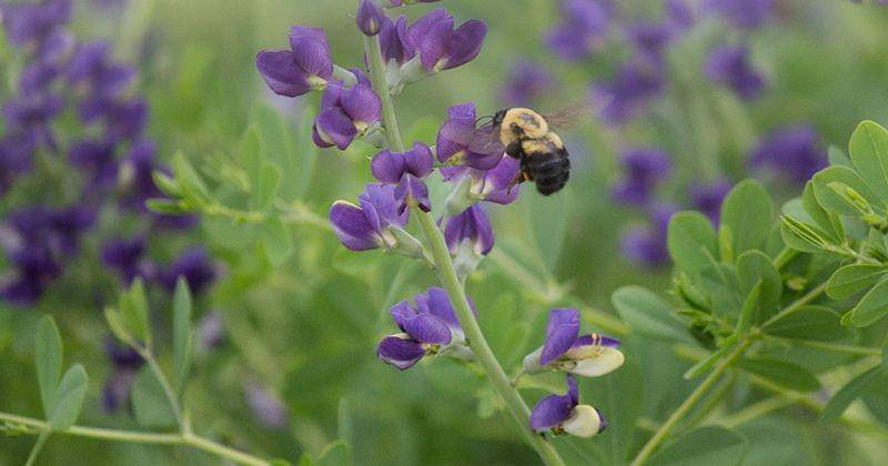 Flickr.com/Elena Shen