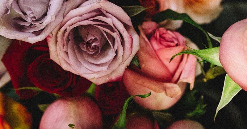 Unsplash/Sidney Pearce