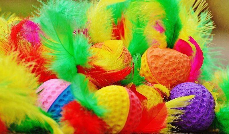 Pixabay/alexas fotos