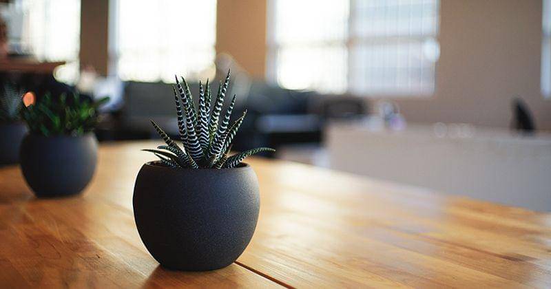 Unsplash/Alvin Engler