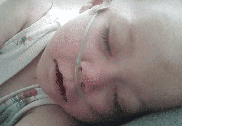 Facebook.com/Dragana Petrovic