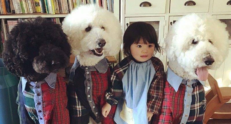 Instagram.com/tamanegi.qoo.riku