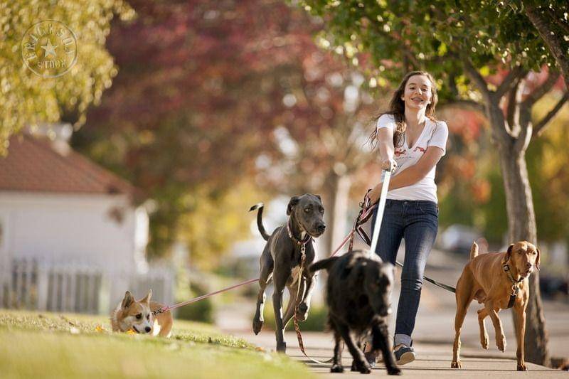 stayathomemum.com.au