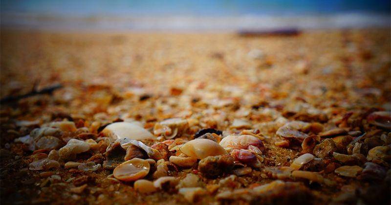 Unsplash/Rafael Souza