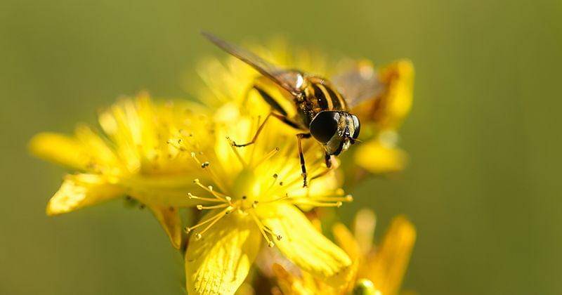 Unsplash/Mona Eendra