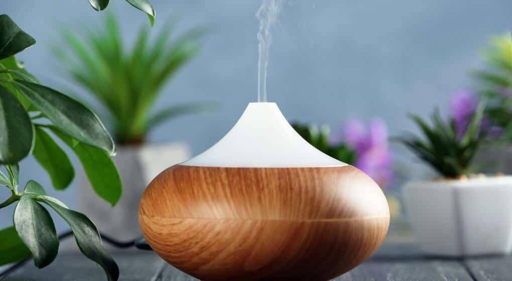 organicdailypost.com