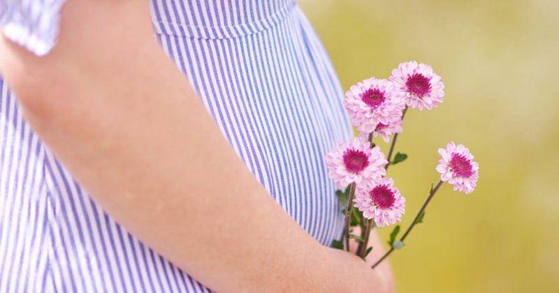 Unsplash/Ashton Mullins