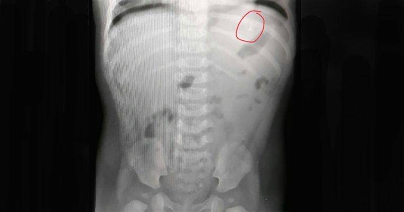 Instagram.com/drkanyafidzuno