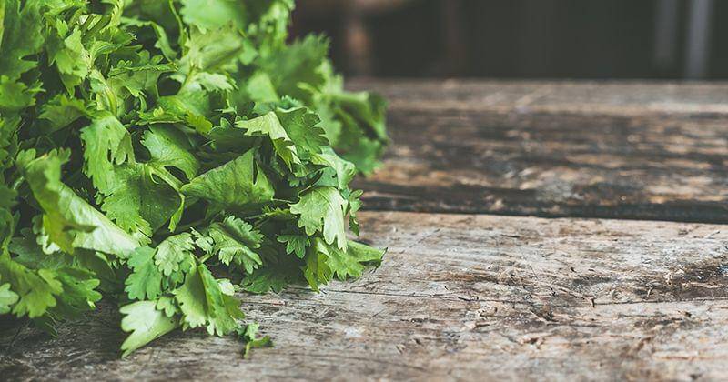 Pexels/Jessica Lewis