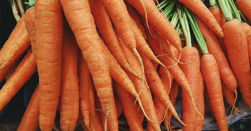 Unsplash/Harshal S. Hirve