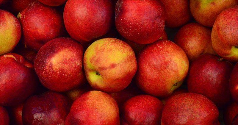 Unplash/Krishnam Moosaddee