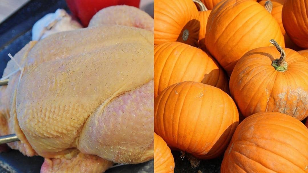 Pixabay/RitaE/127071