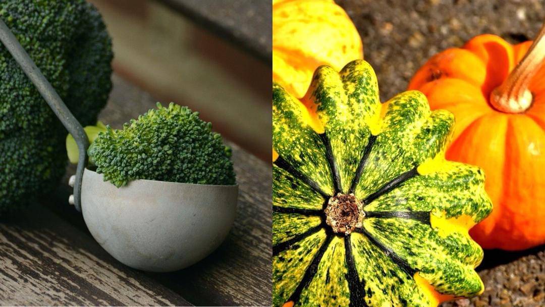 Pixabay/congerdesign/Alexas_Fotos