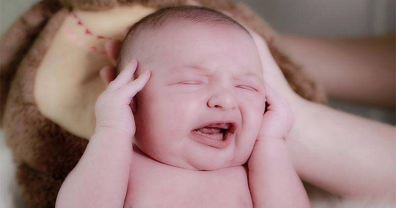 Pixabay/photo-graphe