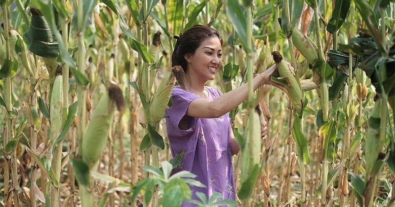 Instagram.com/sarwendah29