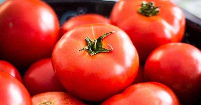 Unsplash/Deniz Altindas