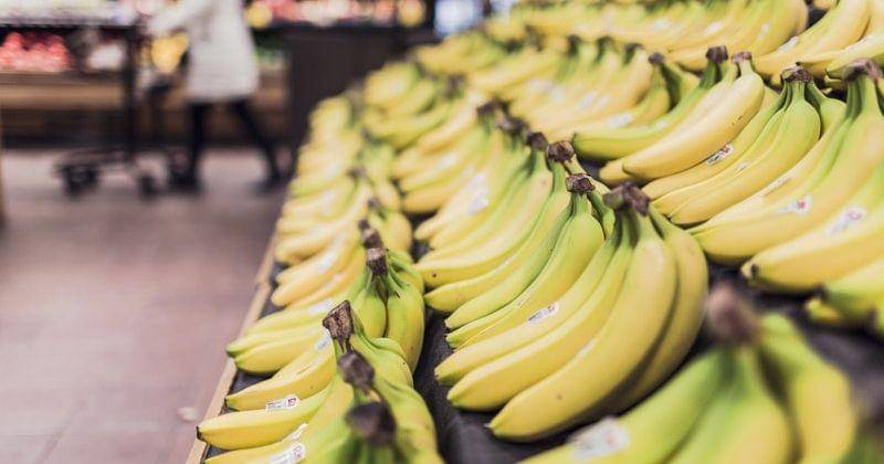 Pexels/Gratisography