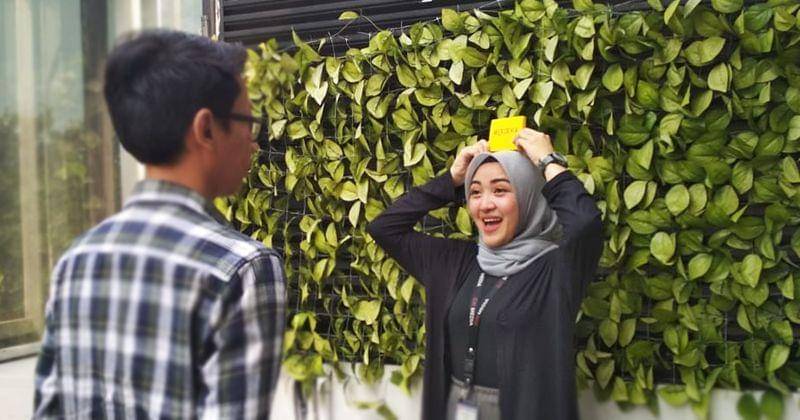 Popmama.com/Novy Agrina