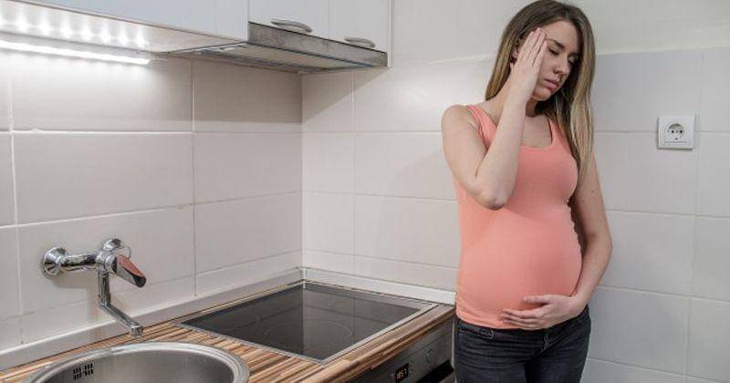 Freepik/Dragan Gordic