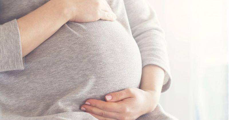 Freepik/Valeria Aksakov