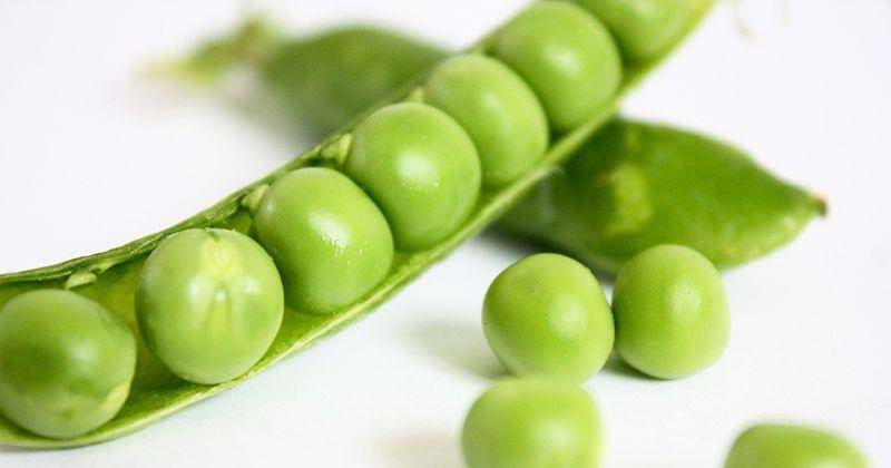 Pixabay/PublicDomainPicture