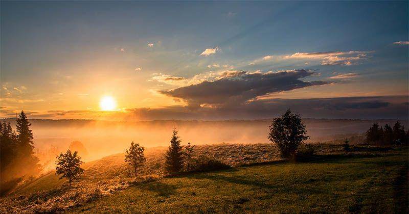 Unsplash/Dawid Zawiła