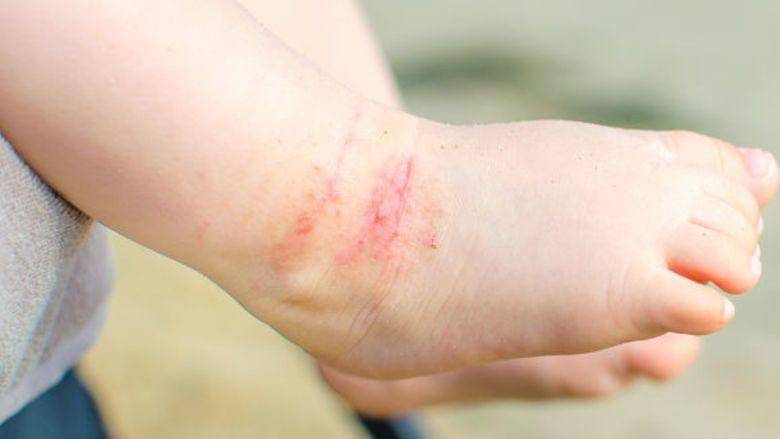 ap.dental-tribune.com