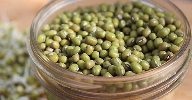 superfoodevolution.com