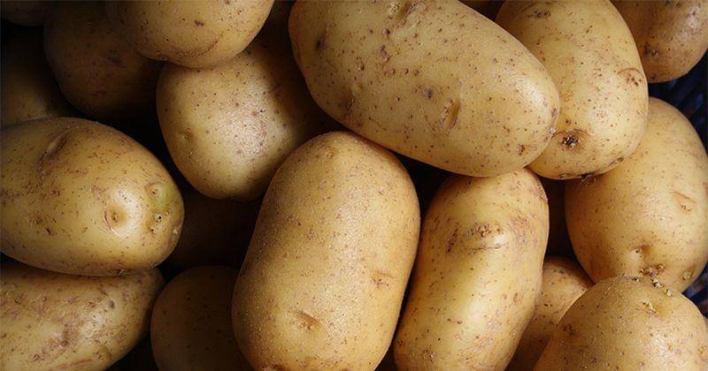 Unsplash/Lars Blankers