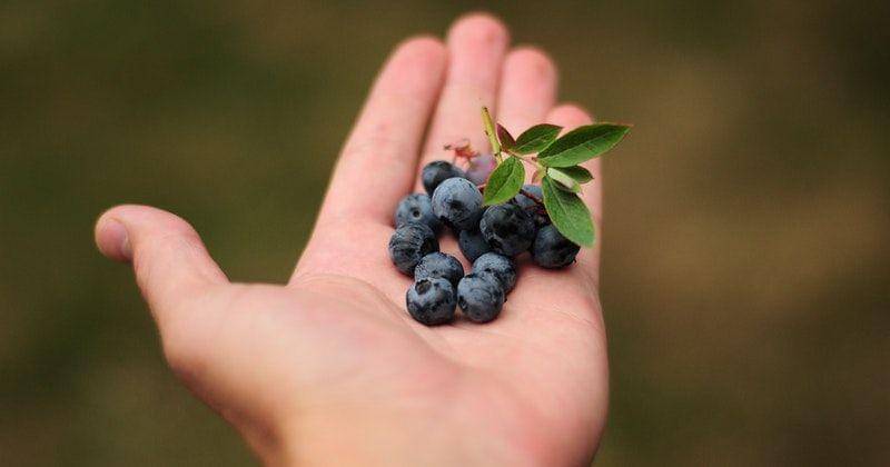 Pixabay/hellotimothytyndale